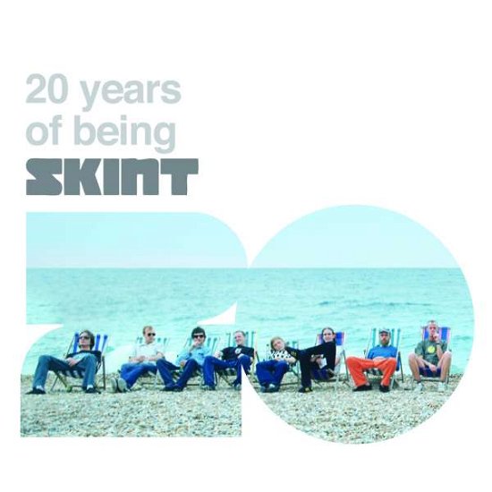 Cover for 20 Years of Being Skint (LP) [Standard edition] (2015)