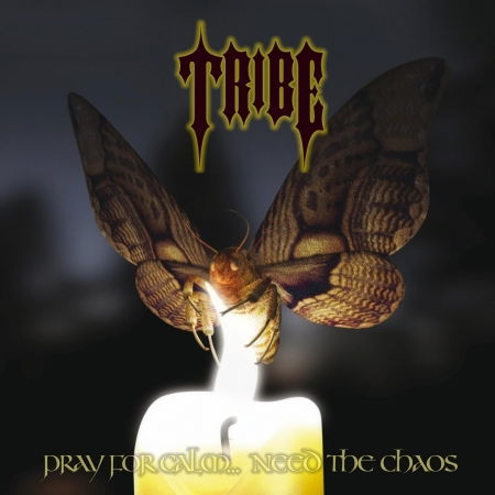 Cover for Tribe · Pray For Calm... (CD) (2022)