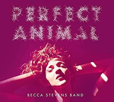 Cover for Becca Stevens · Perfect Animal (CD) [Japan Import edition] (2014)
