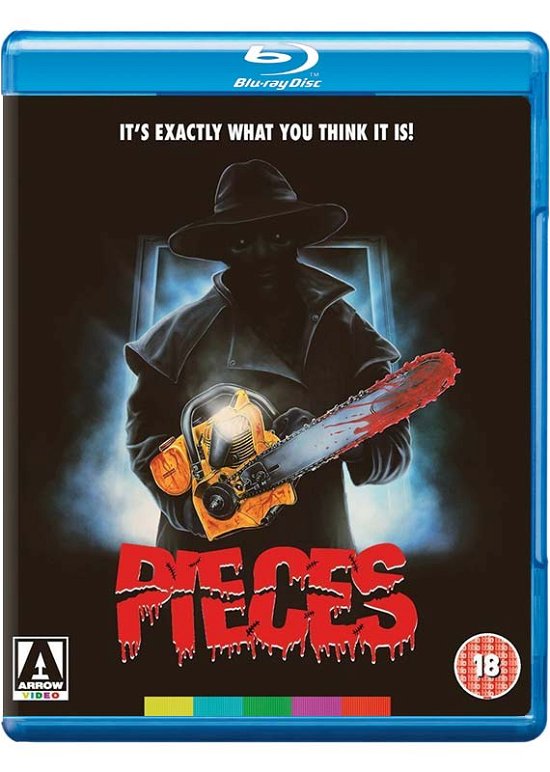 Cover for Pieces BD · Pieces (Blu-ray) (2018)