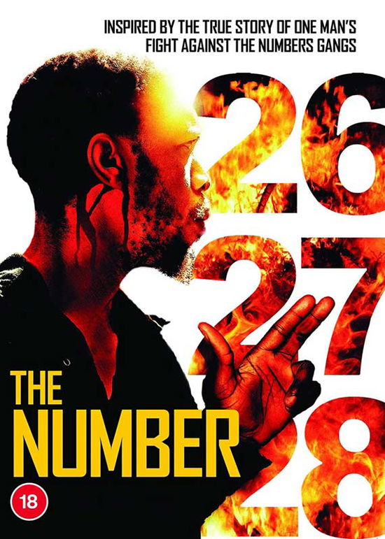 Cover for Khalo Matabane · The Number (DVD) (2020)