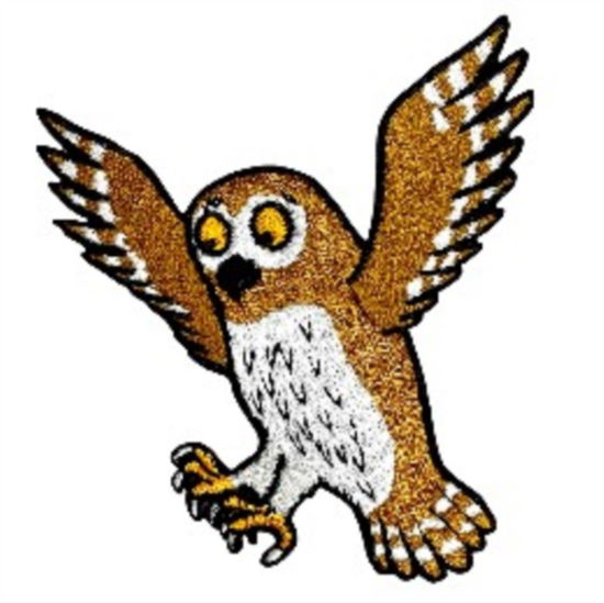 Cover for Owl Character Sew On Patch (MERCH) (2023)