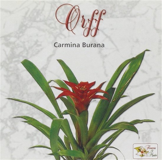 Cover for Orff · Carmina Burana (CD)