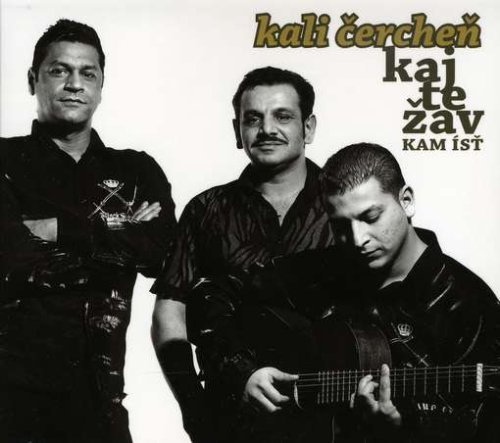 Cover for Kali Cerchen · Kaj Te Zav Ist (CD) (2008)