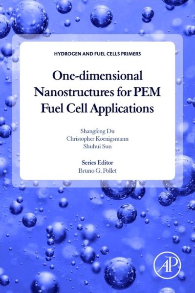 Cover for Du, Shangfeng (School of Chemical Engineering, University or Birmingham, Birmingham UK) · One-dimensional Nanostructures for PEM Fuel Cell Applications - Hydrogen and Fuel Cells Primers (Taschenbuch) (2017)