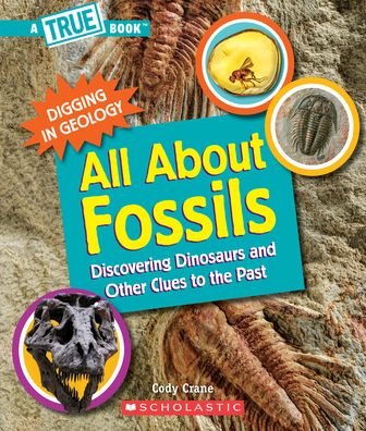 Cover for Cody Crane · All About Fossils (Book) (2021)