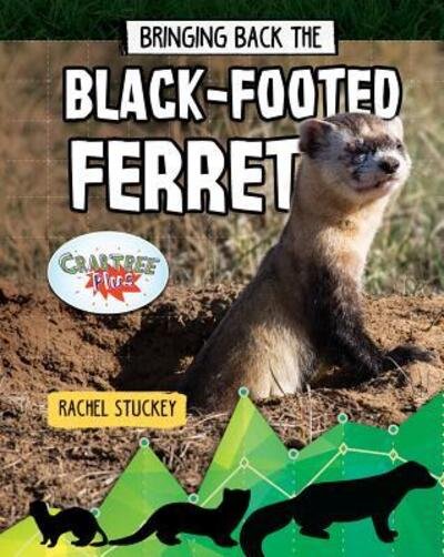Cover for Rachel Stuckey · Bringing Back the Black-Footed Ferret (Hardcover Book) (2019)