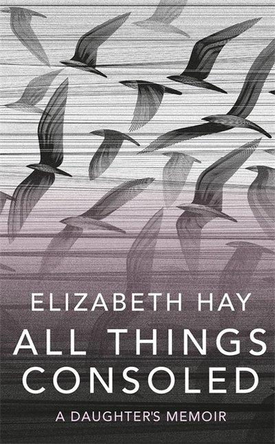 All Things Consoled - Elizabeth Hay - Livros - Quercus Publishing - 9780857059123 - 22 de agosto de 2019