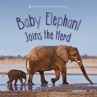 Baby Elephant Joins the Herd - American Museum of Natural History - Books - Sterling Children's Books - 9781454932123 - January 8, 2019