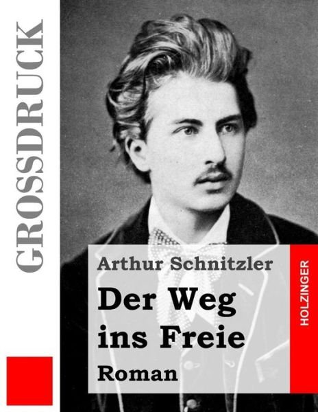 Cover for Arthur Schnitzler · Der Weg Ins Freie (Grossdruck): Roman (Taschenbuch) (2013)