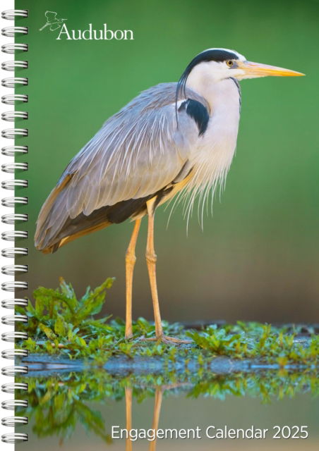 Audubon Engagement Calendar 2025: A Tribute to the Wilderness and Its Spectacular Landscapes - National Audubon Society - Merchandise - Workman Publishing - 9781523526123 - August 8, 2024