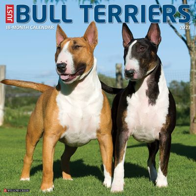 Cover for Willow Creek Press · Just Bull Terriers 2023 Wall Calendar (Book) (2022)