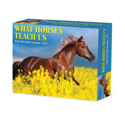 Willow Creek Press · What Horses Teach Us 2025 6.2 X 5.4 Box Calendar (Calendar) (2024)