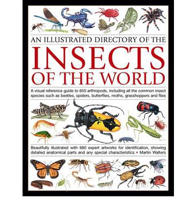 Illustrated Directory of Insects of the World: A Visual Reference Guide to 650 Arthropods, Including All the Common Species Such as Beetles, Spiders, Crickets, Butterflies, Moths, Grasshoppers and Flies - Martin Walters - Książki - Anness Publishing - 9781780192123 - 15 marca 2013