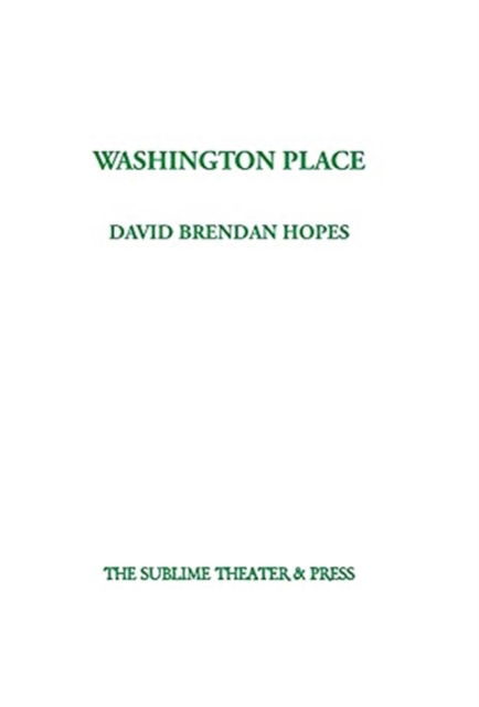 Cover for David Brendan Hopes · Washington Place (Hardcover Book) (2021)