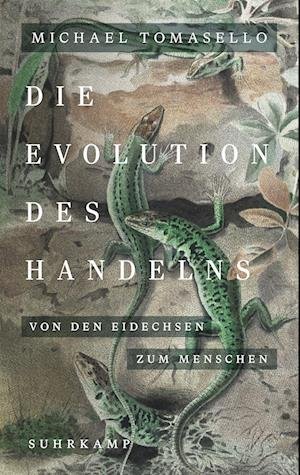 Cover for Michael Tomasello · Die Evolution Des Handelns (Bog)