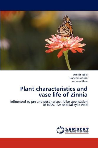 Cover for Imtinan Khan · Plant Characteristics and Vase Life of Zinnia: Influenced by Pre and Post Harvest Foliar Application of Naa, Iaa and Salicylic Acid (Paperback Book) (2012)