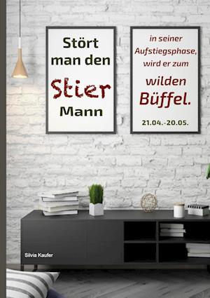 Cover for Silvia Kaufer · Stört man den Stier Mann in seiner Aufstiegsphase, wird er zum wilden Büffel (Book) (2024)