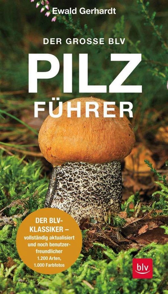 Cover for Gerhardt · Der große BLV Pilzführer (Book)
