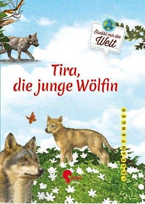 Cover for Ullke, Jana; Cucchiarini, Ferruccio · Abenteuer einer jungen W?lfin (Hardcover Book)