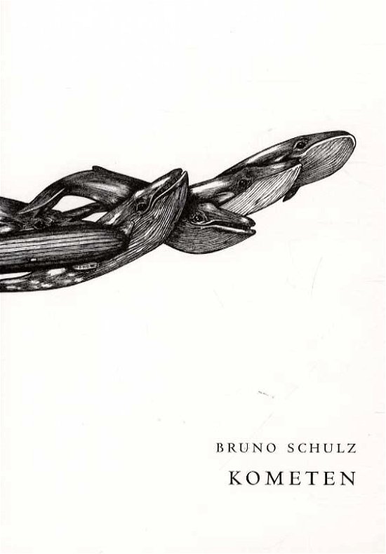 Kometen - Bruno Schulz - Books - Forlaget Virkelig - 9788799779123 - January 2, 2015