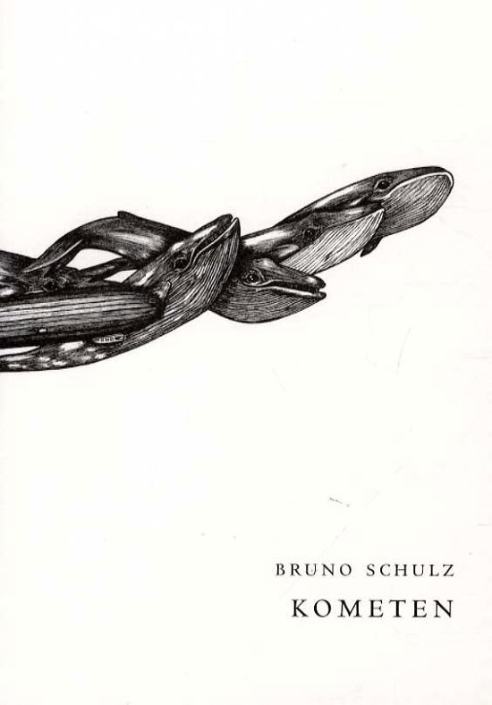 Kometen - Bruno Schulz - Livros - Forlaget Virkelig - 9788799779123 - 2 de janeiro de 2015