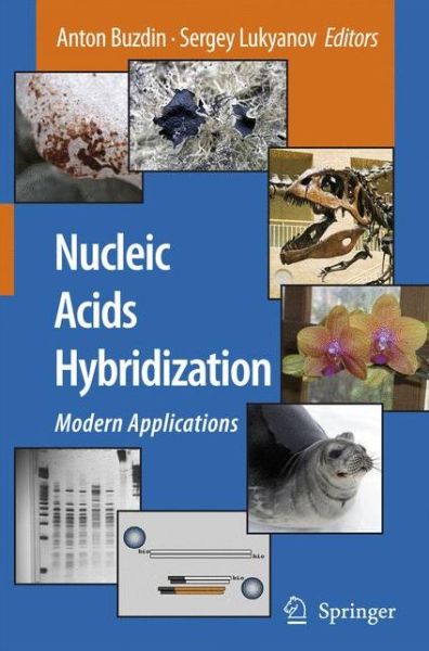 Cover for Anton Buzdin · Nucleic Acids Hybridization: Modern Applications (Paperback Book) [Softcover reprint of hardcover 1st ed. 2007 edition] (2010)