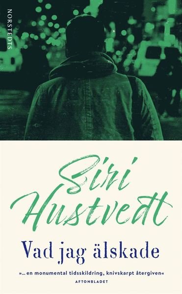 Vad jag älskade - Siri Hustvedt - Books - Norstedts - 9789113093123 - March 13, 2019