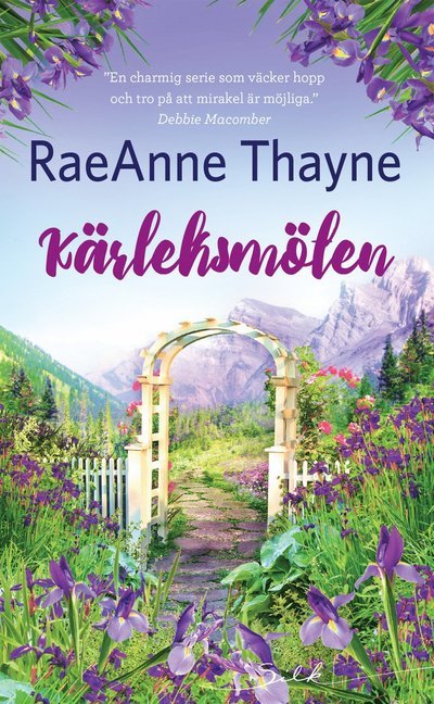 Cover for RaeAnne Thayne · Silk: Kärleksmöten (Book) (2020)