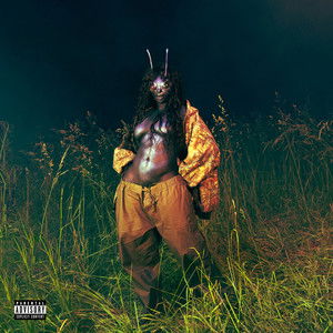 Cover for SZA · SOS Deluxe: Lana (CD) (2025)