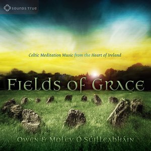 Cover for O Suilleabhain, Owen &amp; Moley · Fields of Grace [CD] (CD) (2016)