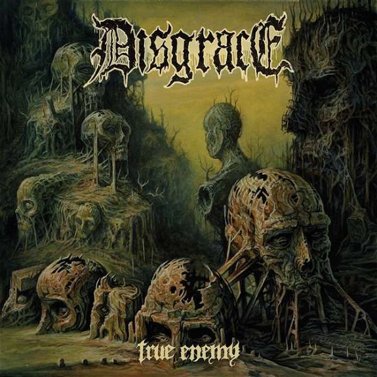 Cover for Disgrace · True Enemy (CD) (2015)