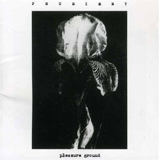 Cover for Prurient · Pleasure Ground (CD) (2007)