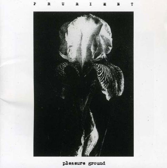 Pleasure Ground - Prurient - Muzyka - LOAD - 0604197110124 - 26 stycznia 2007