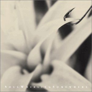 Cover for Soul Whirking Somewhere · Please Send Help (CD) (2001)