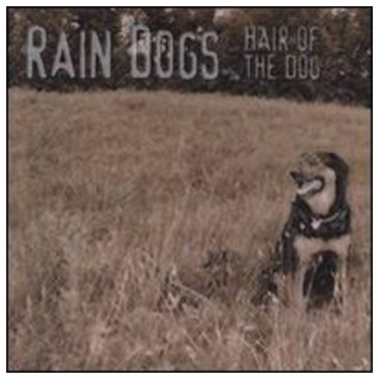 Hair of the Dog - Rain Dogs - Musiikki - CD Baby - 0620673227124 - tiistai 21. syyskuuta 2004