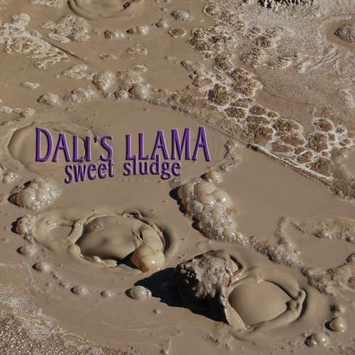 Cover for Dali's Llama · Sweet Sludge (CD) (2019)