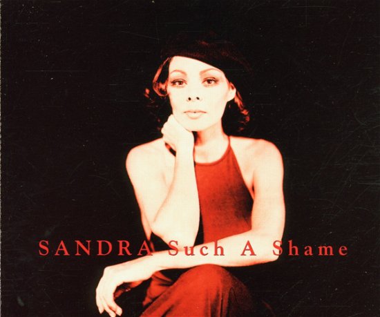 Such a Shame - Sandra - Musikk -  - 0724354640124 - 