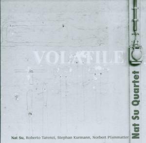 Volatile - Nat Su - Musikk - TCB - 0725095269124 - 5. juli 2024