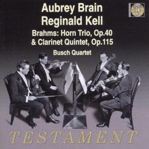 Busch Streichquartett Spielt Brahms - Busch Quartet - Musik - TESTAMENT - 0749677100124 - 1. maj 1993