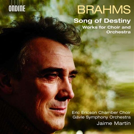 Brahms / Martin · Song of Destiny / Works for Choir & Orchestra (CD) (2017)