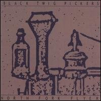 Cover for Black Twig Pickers · North Folk Flyer (CD) (2001)