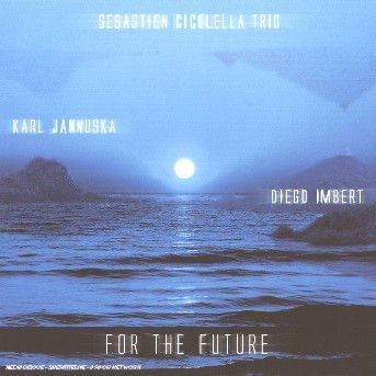 For The Future - Sébastien Cicolella Trio - Music - NOT ON LABEL - 0826596038124 - April 5, 2017