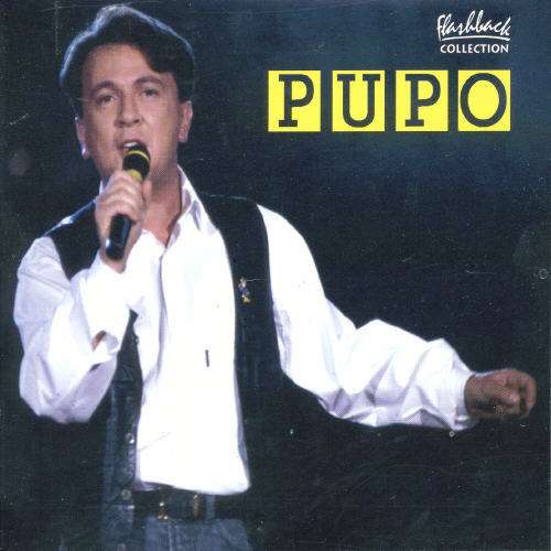 Cover for Pupo · Flashback Collection (CD) (2007)