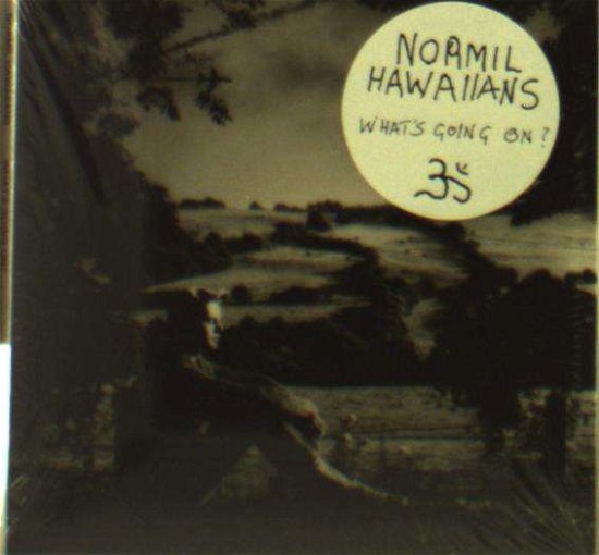 What's Going On - Normil Hawaiians - Musik - UPSET THE RHYTHM - 0828887112124 - 28. juni 2019