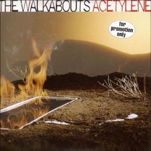 Cover for Walkabouts · Acetylene (CD) (2005)