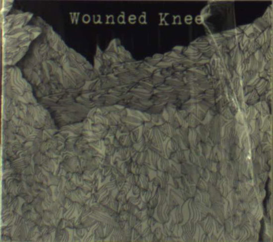 Cover for Wounded Knee · Shimmering New Vistas (CD) (2009)