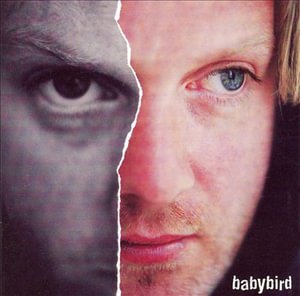Cover for Babybird · Between My Ears There's Nothing but Music (CD) (2006)