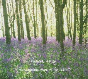 Cover for Virginia Astley · From Gardens Where We Fee (CD) (2004)