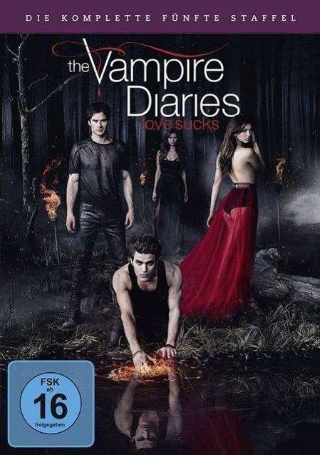 Cover for Nina Dobrev,paul Wesley,ian Somerhalder · The Vampire Diaries: Staffel 5 (DVD) (2014)